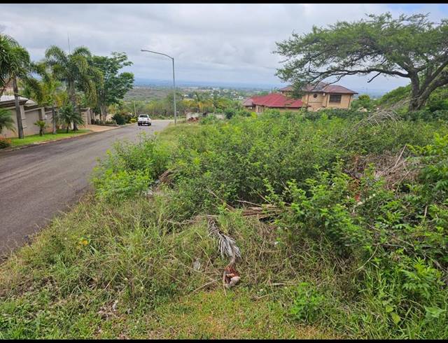 LAND FOR SALE IN LOUIS TRICHARDT